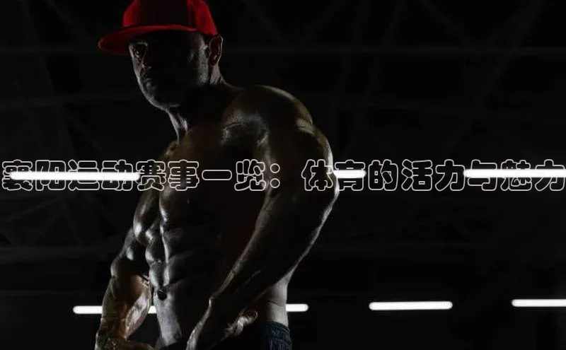 新宝gg注册登录入口百度手机助手襄阳运动赛事一览：体育的活力与魅力