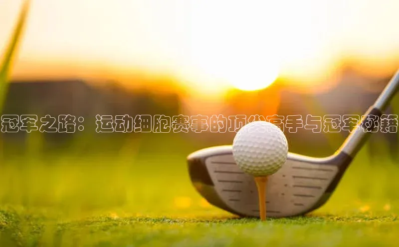 新宝gg平台注册汉得信息冠军之路：运动细胞赛事的顶尖高手与冠军秘籍