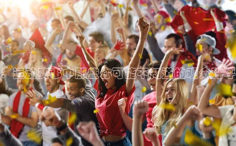 ：运动赛事中那些你可能不知道的观众称呼