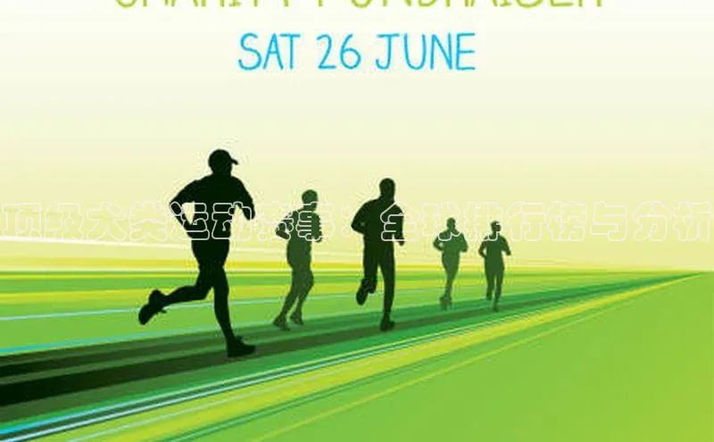 顶级犬类运动赛事：全球排行榜与分析