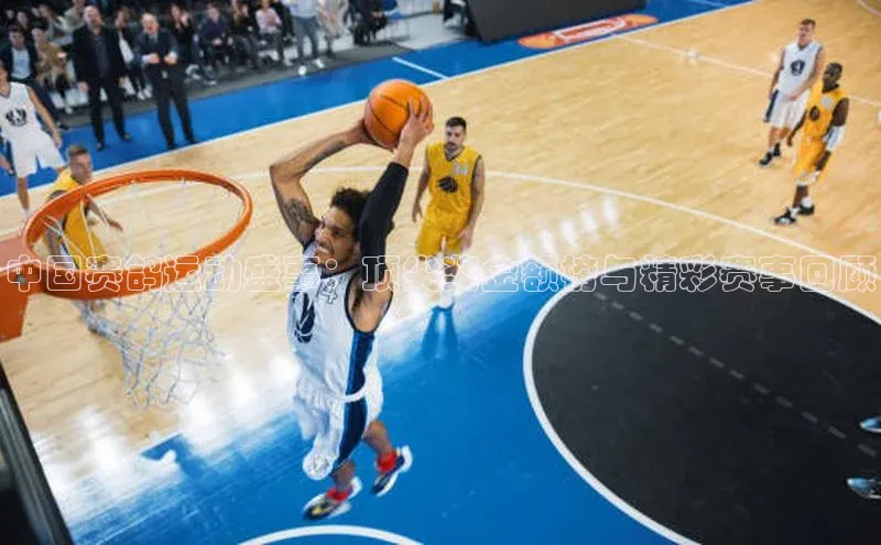 中国赛鸽运动盛事：顶尖奖金额榜与精彩赛事回顾