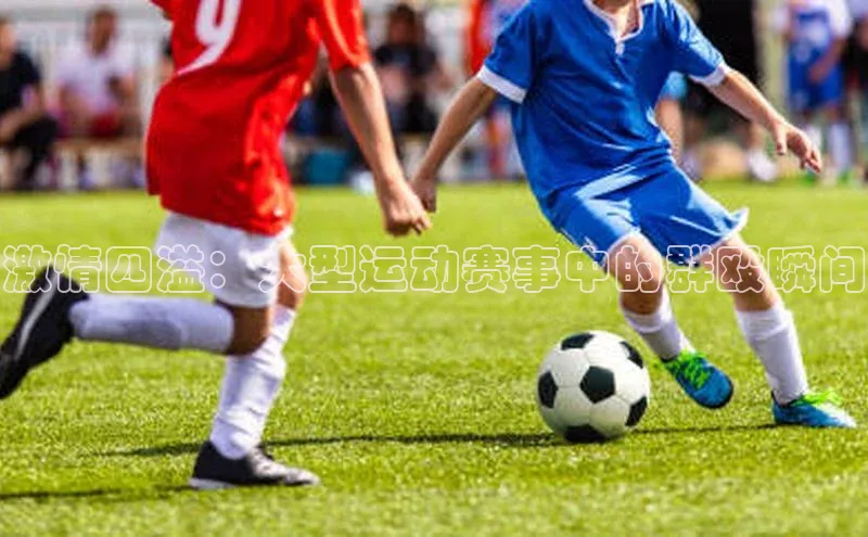 激情四溢：大型运动赛事中的群殴瞬间