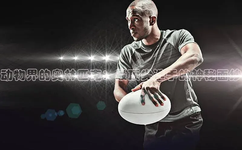 动物界的奥林匹克：最顶尖选手的神秘面纱