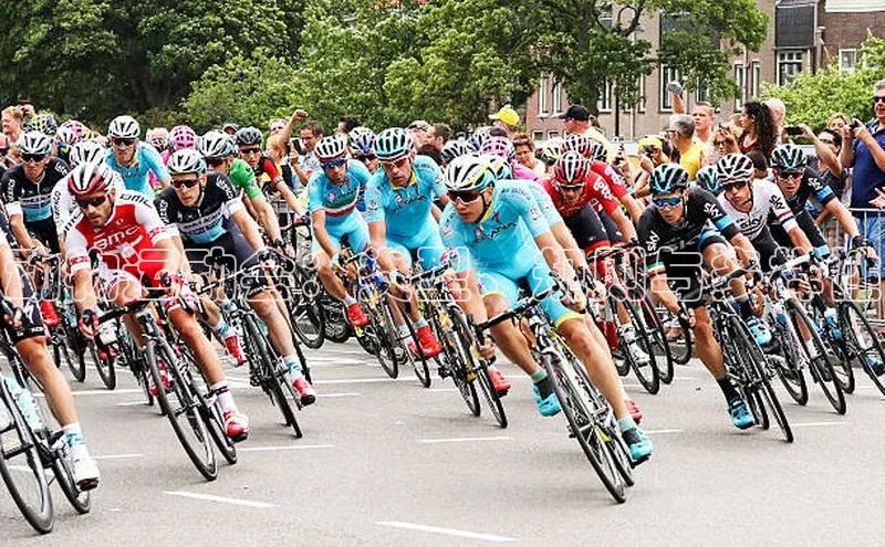 动物运动会：类型、规则与多样性