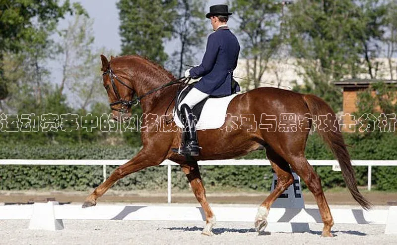 运动赛事中的网络威胁：木马与黑客攻击分析