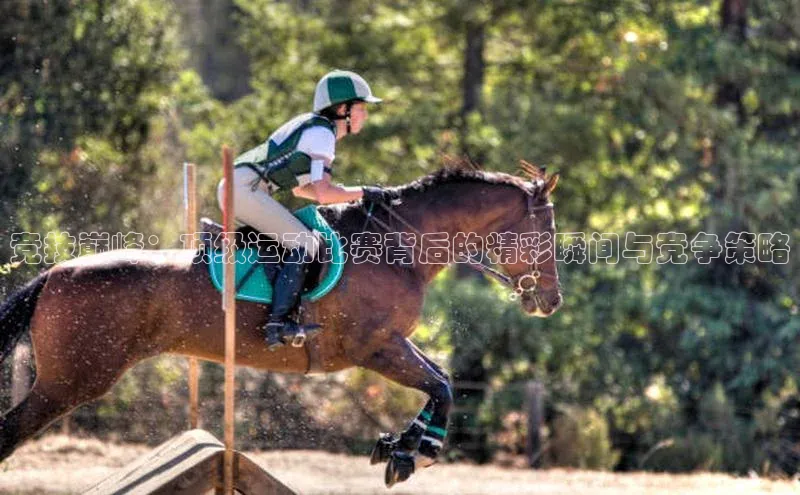竞技巅峰：顶级运动比赛背后的精彩瞬间与竞争策略