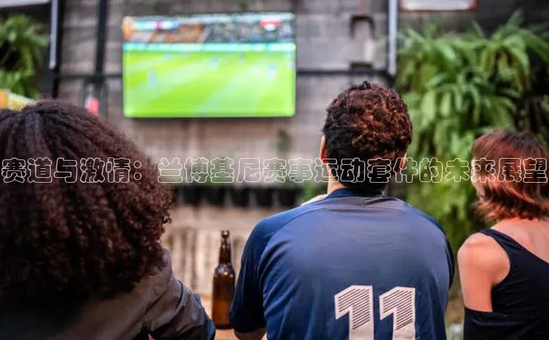 赛道与激情：兰博基尼赛事运动套件的未来展望