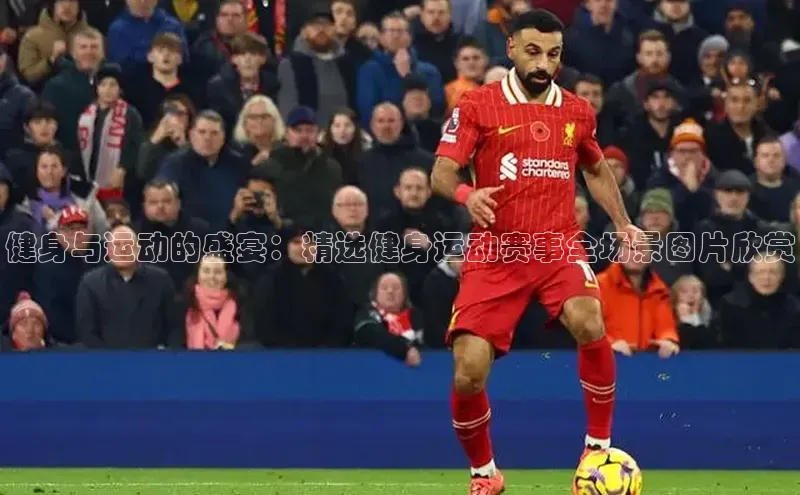 健身与运动的盛宴：精选健身运动赛事全场景图片欣赏