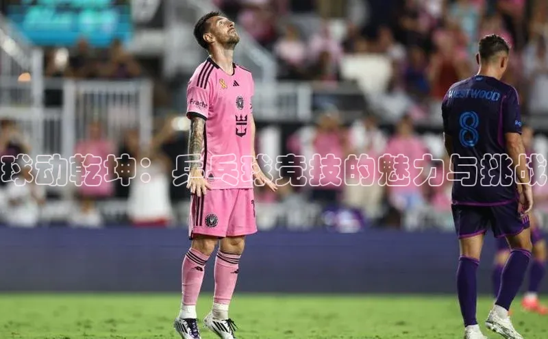 球动乾坤：乒乓球竞技的魅力与挑战