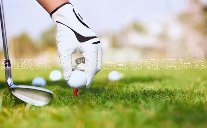 巅峰对决：全球收入最高的运动赛事冠军