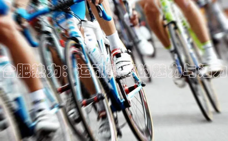 合肥热力：运动赛事的魅力与活力