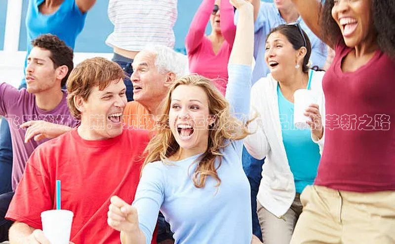 飞跃球场之巅：顶级赛事运动木地板品牌的革新之路