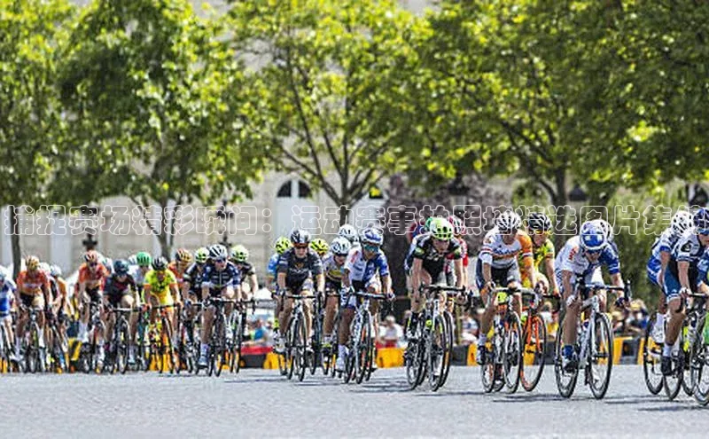 新宝gg一键登录