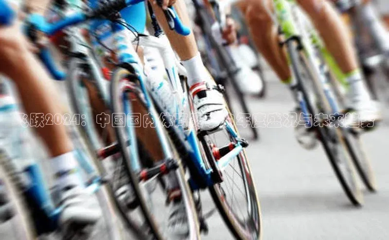 飞跃2024：中国国内体育赛事的年度盛况与未来趋势