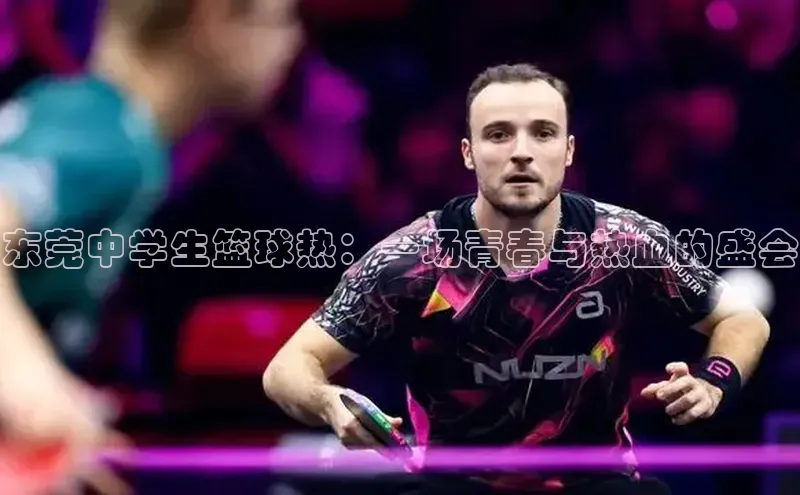 东莞中学生篮球热：一场青春与热血的盛会